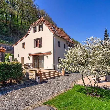 ヴィラ Elbvilla Mit Sauna Und Kamin Mit Privatem Zugang Zur Elbe ピルナ