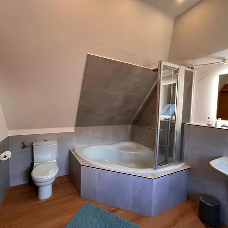 Elbvilla Mit Sauna Und Kamin Mit Privatem Zugang Zur Elbe * ピルナ