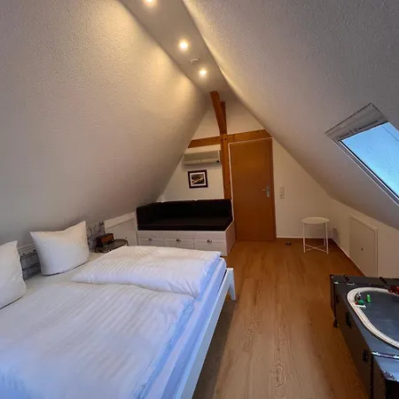 Elbvilla Mit Sauna Und Kamin Mit Privatem Zugang Zur Elbe * Pirna