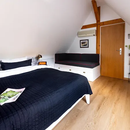 Elbvilla Mit Sauna Und Kamin Mit Privatem Zugang Zur Elbe * Pirna