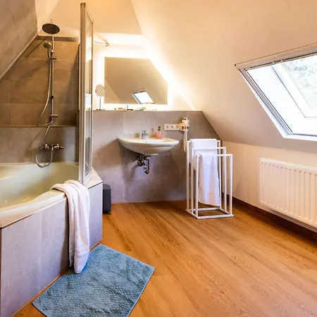 Elbvilla Mit Sauna Und Kamin Mit Privatem Zugang Zur Elbe Pirna