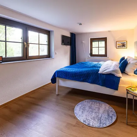 Elbvilla Mit Sauna Und Kamin Mit Privatem Zugang Zur Elbe Villa Pirna
