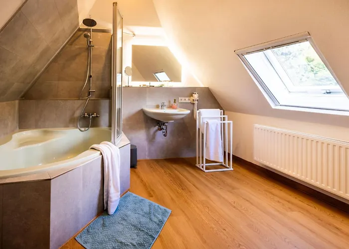 Elbvilla Mit Sauna Und Kamin Mit Privatem Zugang Zur Elbe Pirna